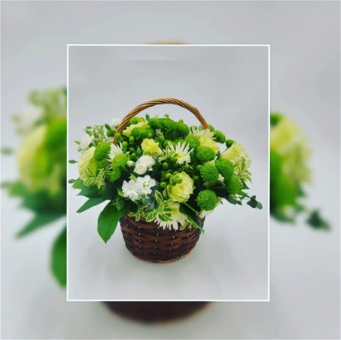 Green and White Basket